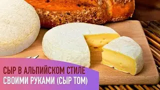 Рецепт вкуснейшего сыра ТОММ
