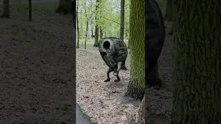 Аномальные лягушки НАПАЛИ на МАМУ 😱 