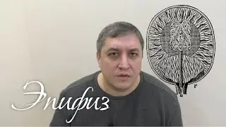 Шишковидная железа. Эпифиз. Возможности человека