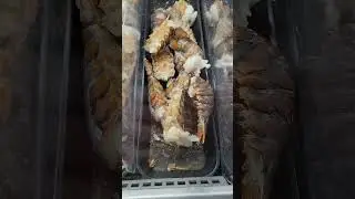 Откуда дары моря в Америке?