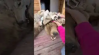 До меня докопались 😨😨