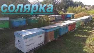 ПОЧЕМУ У МЕНЯ НЕТ ВОРОВСТВА НА ПАСЕКЕ 26.08.2019