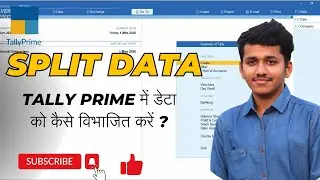 #20 Split data in Tally Prime In Hindi | Tally Prime Full course 2022