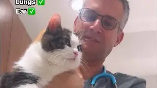 My cat Elie faked her sickness cause she wants to see her new vet doctor. It’s a boy with glasses 🤓