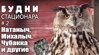 Будни стационара 06.03.2022