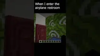 me when i enter the airplane restroom #minecraft #roblox #shorts