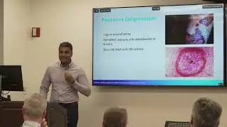 Session 4, Hot Topic  Extraintestinal Manifestations of Inflammatory Bowel Disease