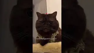Дети быстро растут