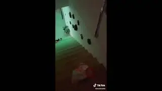 مايا خليفة عريانة وتفاجئ صاحبها🔥🔥🔥