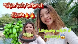 buah paling kecut didunia 