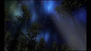 Night Sky Effect | Black Screen Effect | Overlay Effect | Cinematic Effect | Particles Effect