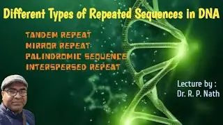 Repeats in DNA sequence | Tandem Repeat vs Mirror Repeat vs Palindrome | Dr. Rudra Prasad Nath