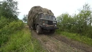Сенокос. Вывозим сено на газ 66 . Развалился воз и снова погрузка.