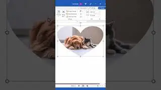 FASTEST Way to Insert Images into Shapes in Microsoft Word (PC & Mac) #shorts