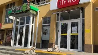 Мой ❤️ ХЕРСОН 26 Марта  2022 г !!!