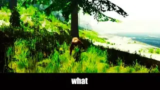 the forest is an interesting game