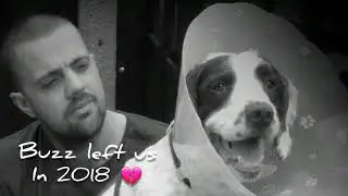 Heartbreaking day 💔 #rainbowbridge #dogloss #dogsarefamily #itsnotgoodbye #belovedpets