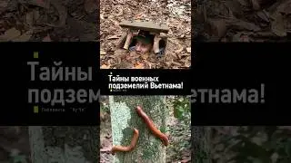 Тайны военных подземелий Вьетнама   |   #автопутешествия #вьетнам #тунеликучи