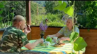 Уютные выходные/Жизнь за городом/ Дача 10 соток #видеоблог#garden#дача#огород#жизньнадаче
