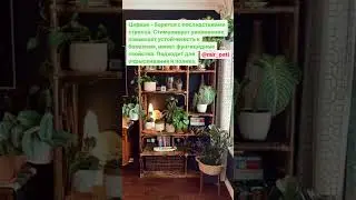 Эти препараты должны быть у каждого любителя растений