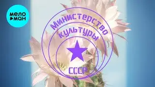Министерство Культуры СССР - Королева ночи (Single 2024)