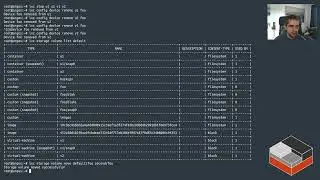Custom storage volumes in LXD