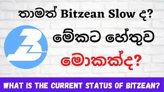 Register with Bitzean and Check the Current Status | Sinhala | 2021