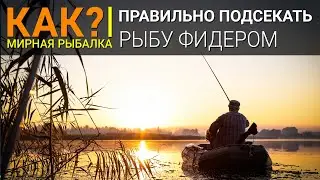 Как подсекать рыбу фидером?