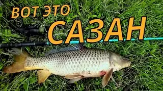 КЛЁВ САЗАНА В ДИКОМ ВОДОЁМЕ | ТОП 5 ЛУЧШИХ МОМЕНТОВ НА РЫБАЛКЕ