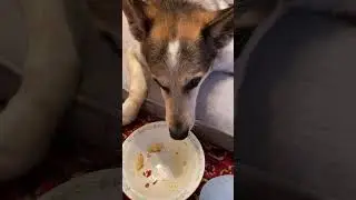 Людмила - управдом нашего общежития 😍