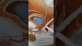 Урук безинин ыйлакчасы