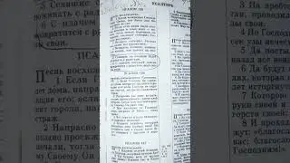 Возлюбленному своему Бог даёт сон🤍Псалом 126:2