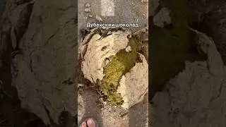 НАШУМЕВШИЙ ДУБАЙСКИЙ ШОКОЛАД 🍫