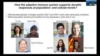 [Takeshi Egawa] Durable CD4 T cell Immunity to persistent antigen by population hierarchy