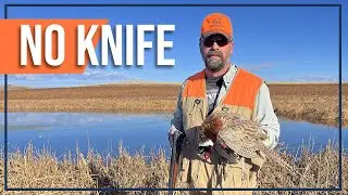 Quick Way to Clean a Pheasant – Outdoors with Trav