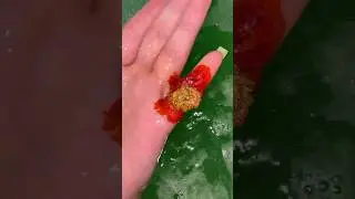 Мать природа🌱тг: Лиз Полис