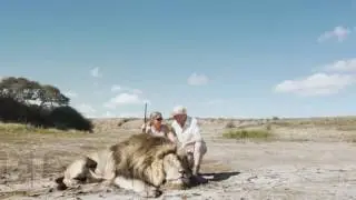 Месть льва