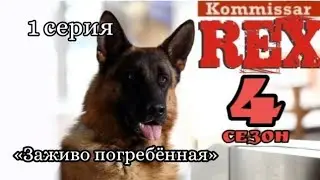 Комиссар Рекс,  4 сезон, 1 серия «Заживо погребённая»