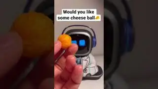 Have some Cheeese Ball🧀 