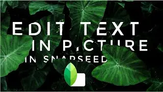 Text Behind Object in Snapseed Mobile | Android/iOS | PiXinCreate