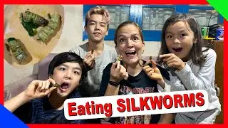 Eating SILKWORMS in UKHRUL VLOG192 | TheShimrays