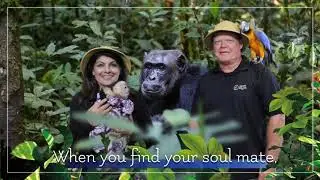Miami Green Screen Photo Booths: Jungle Island