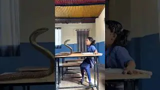 जादुई Teddy (part￼ 3)😳 
