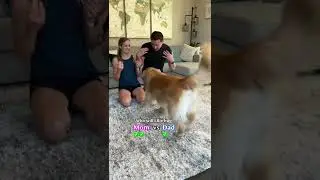 Mom vs Dad hug challenge 