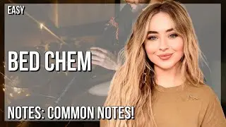 How to play Bed Chem by Sabrina Carpenter on Tin Whistle (Tutorial)