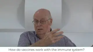 Video 6: How do vaccines work with the immune system?