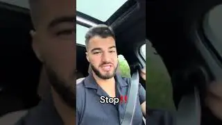 Iancu Sterp urează Sărbători Fericite și povestește o întâmplare!