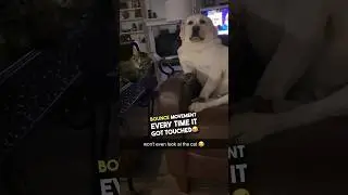 The way his body just bounces 😂❤️