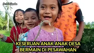 Keseruan anak desa bermain di pesawahan #episodesawah