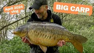 Big CARP diary - April 2024 vlog